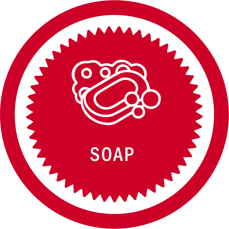 soap-2